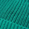 New Passenger Compass Recycled 2.0 Beanie Greenlake
