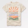 Best Sale Passenger Perfect Days T-Shirt Birch