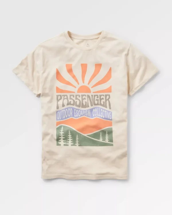 Best Sale Passenger Perfect Days T-Shirt Birch
