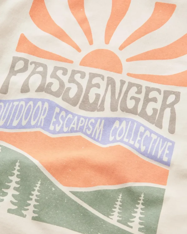 Best Sale Passenger Perfect Days T-Shirt Birch