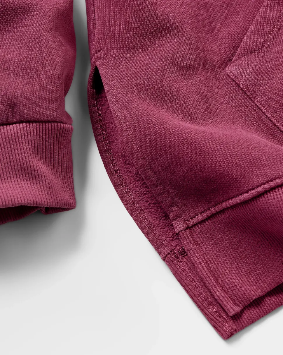 Hot Passenger Love The Wild Hoodie Wine