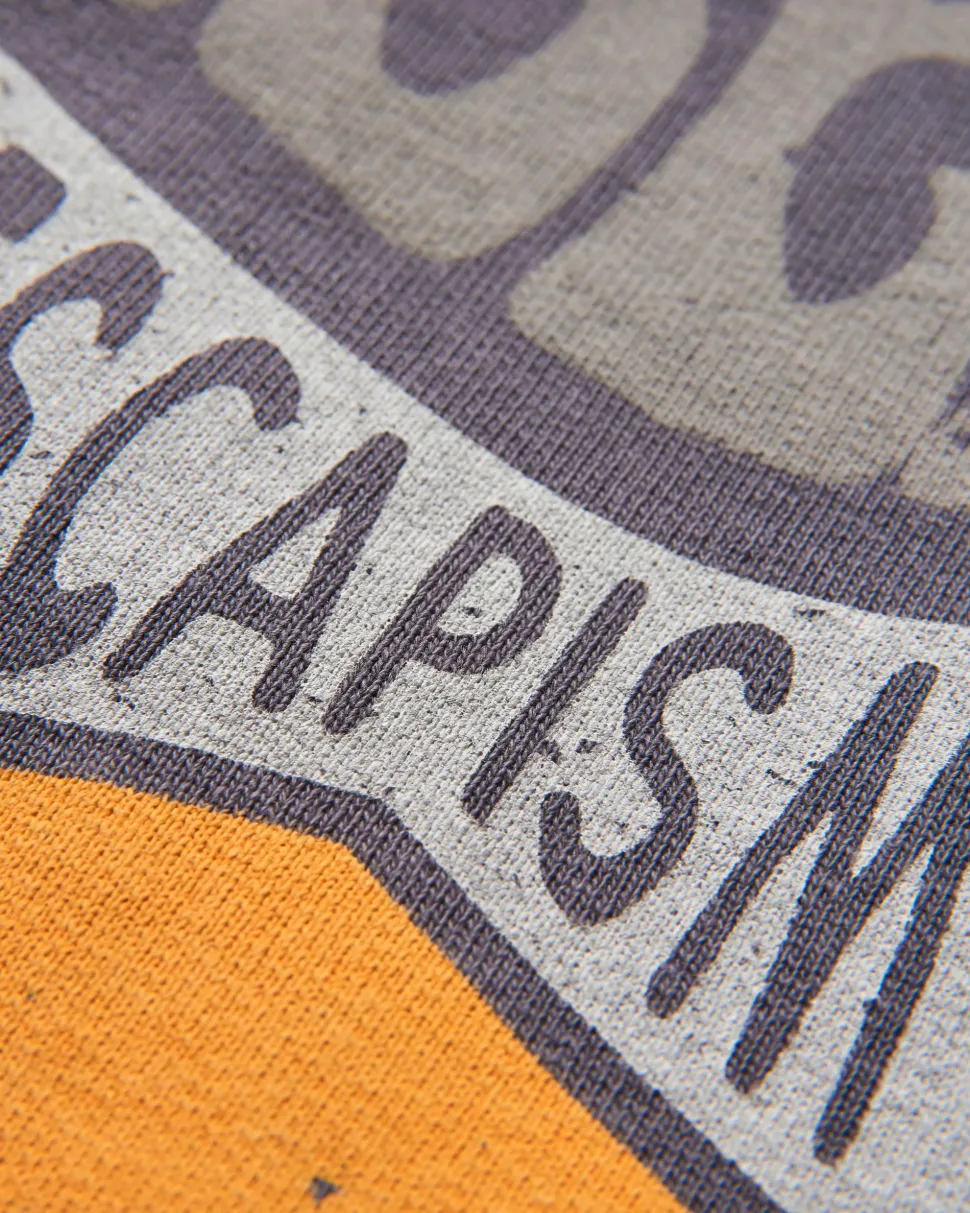 Store Passenger Perfect Days Sweatshirt Charcoal