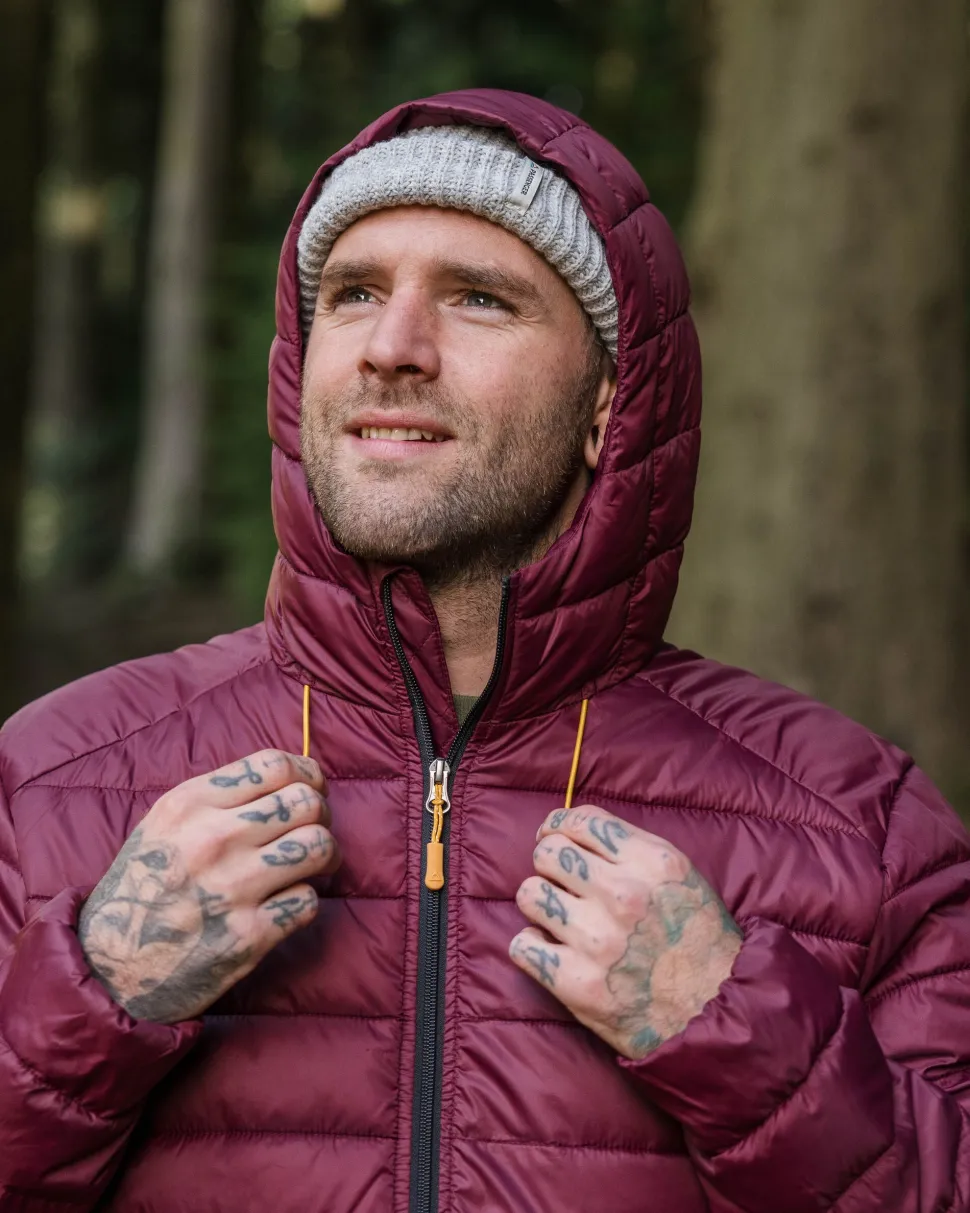 Clearance Passenger Roamer Recycled 2.0 Insulated Jacket Wine